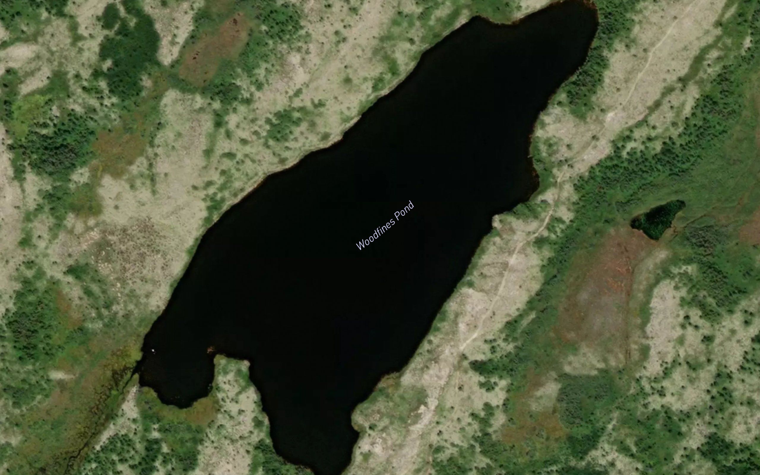 Woodfines Pond