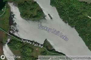 Turkey Tail Lake