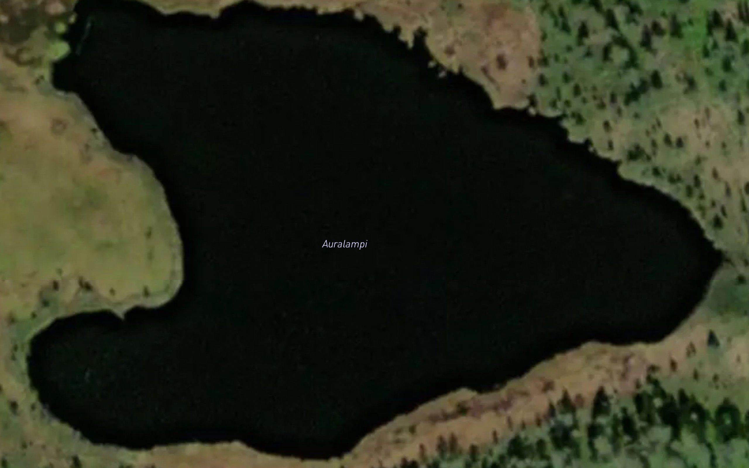 Auralampi