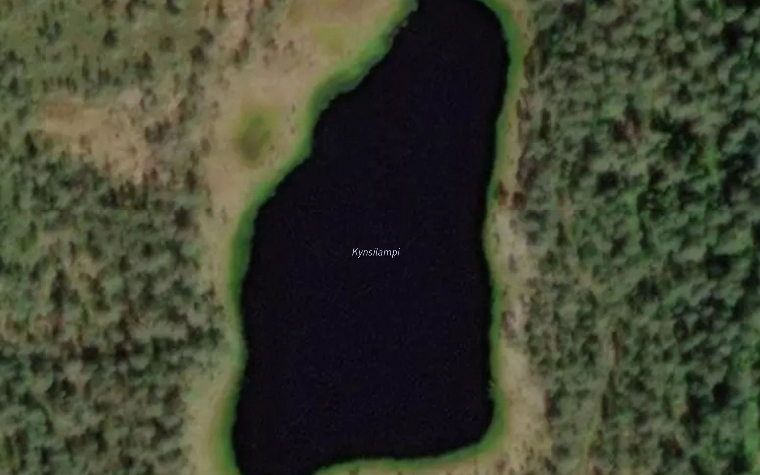 Kynsilampi