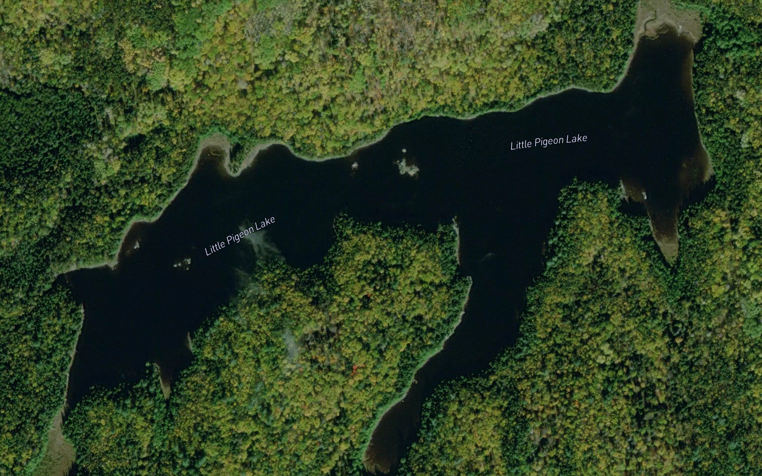 Little Pigeon Lake