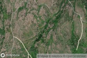 Quaking Aspen Spring