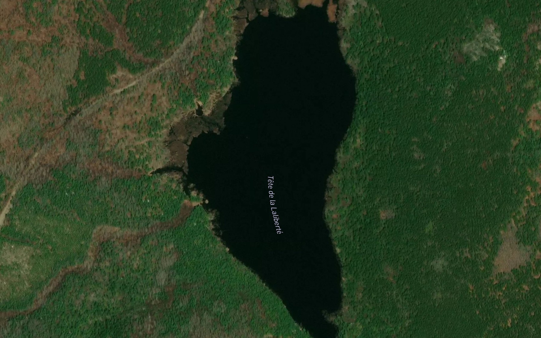 Satellite map of the Tete de la Laliberte