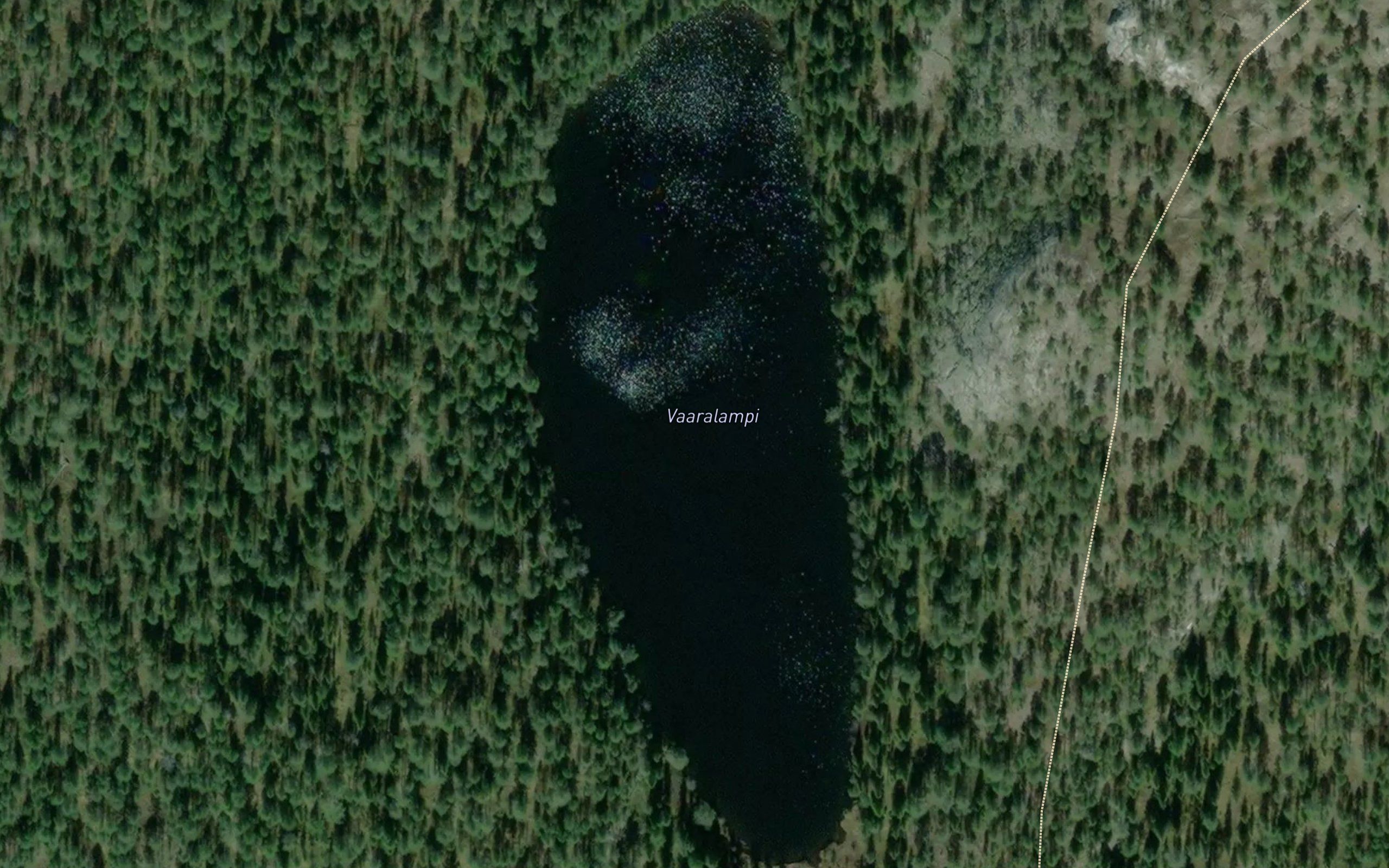 Vaaralampi