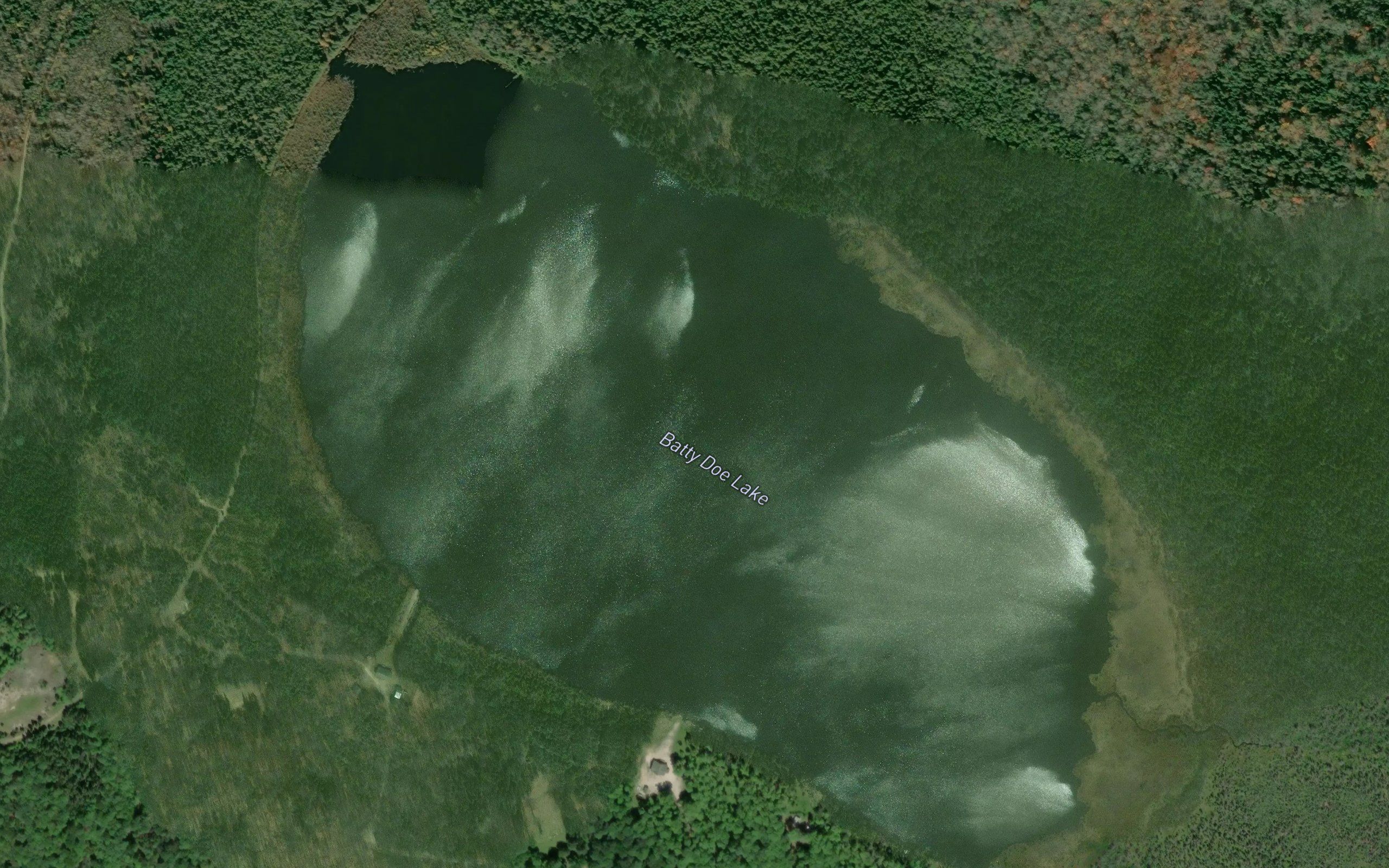 Batty Doe Lake