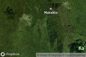 Old Plantation Spring