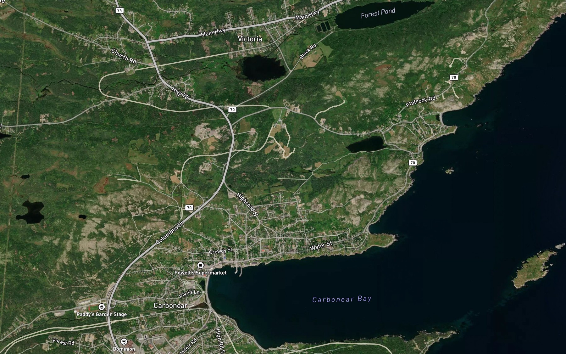 Satellite map of the Lily Pond
