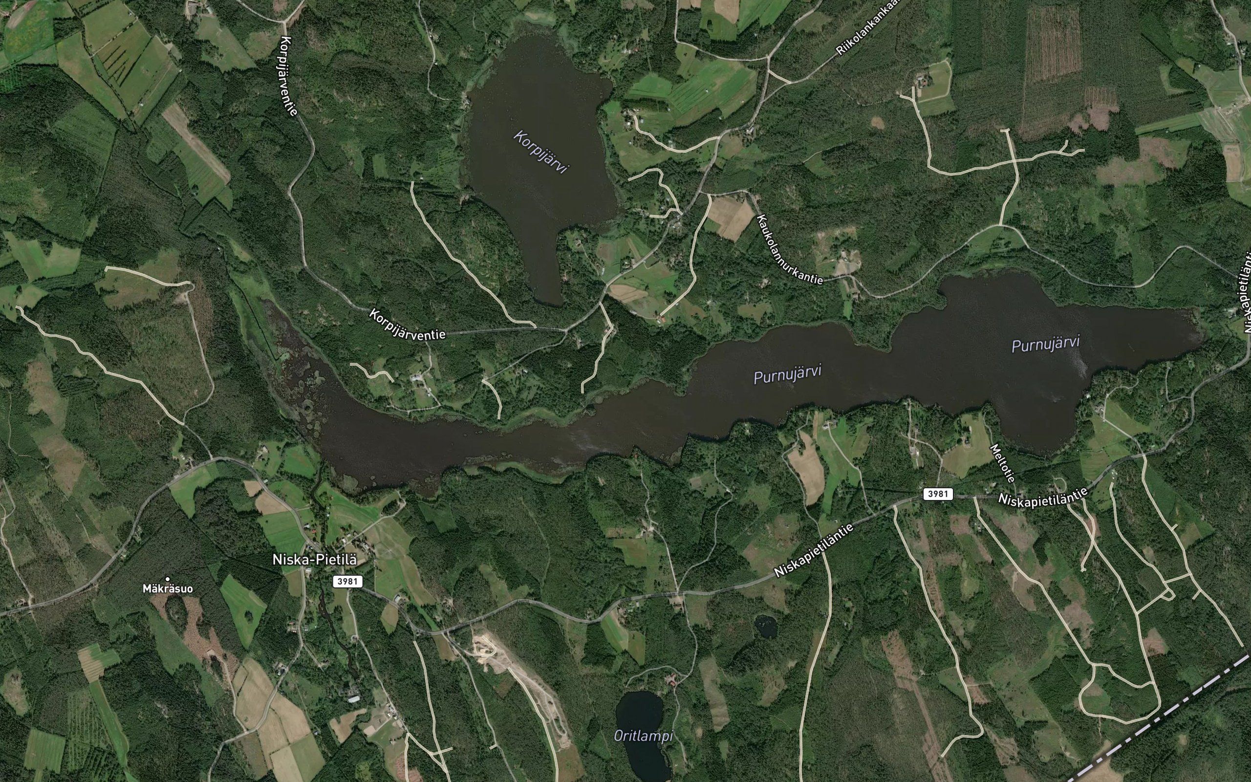 Kurjenoja