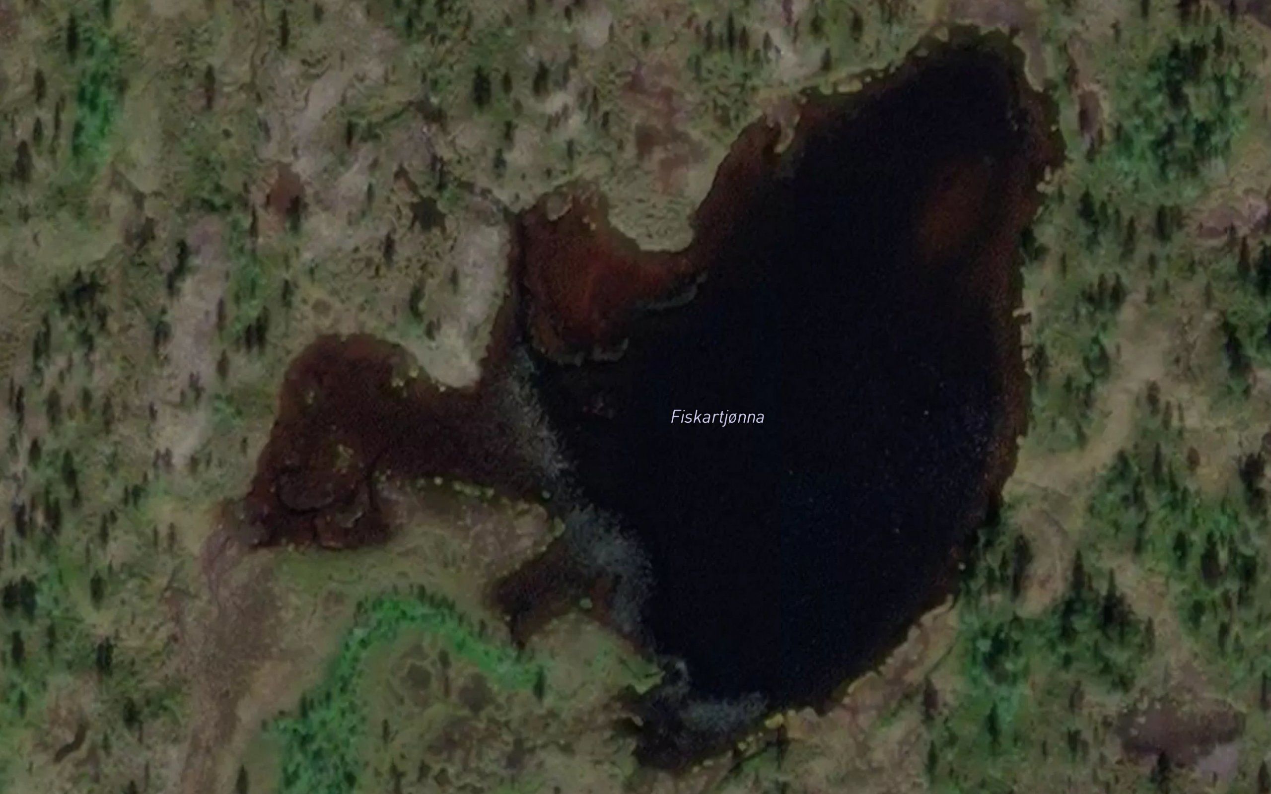 Fiskartjorna