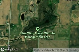 Blue Wing Marsh