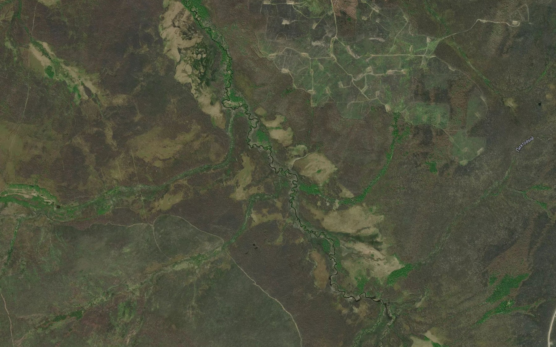 Satellite map of the Bolotnyy