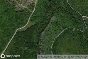 Little Pokiok Stream