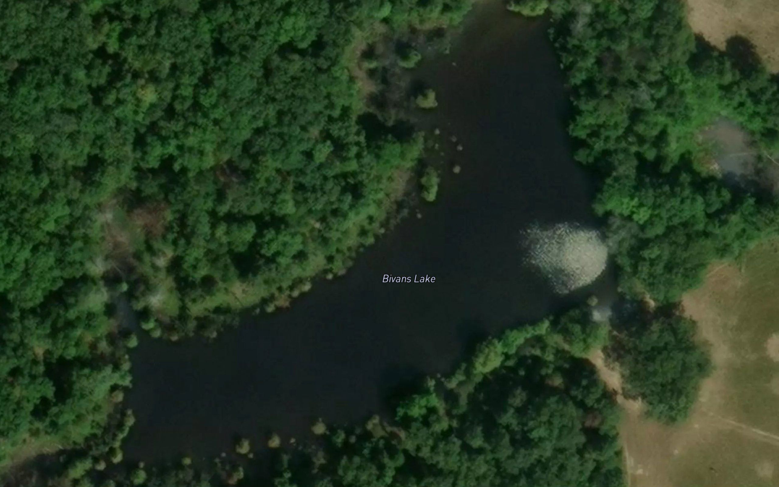 Bivans Lake