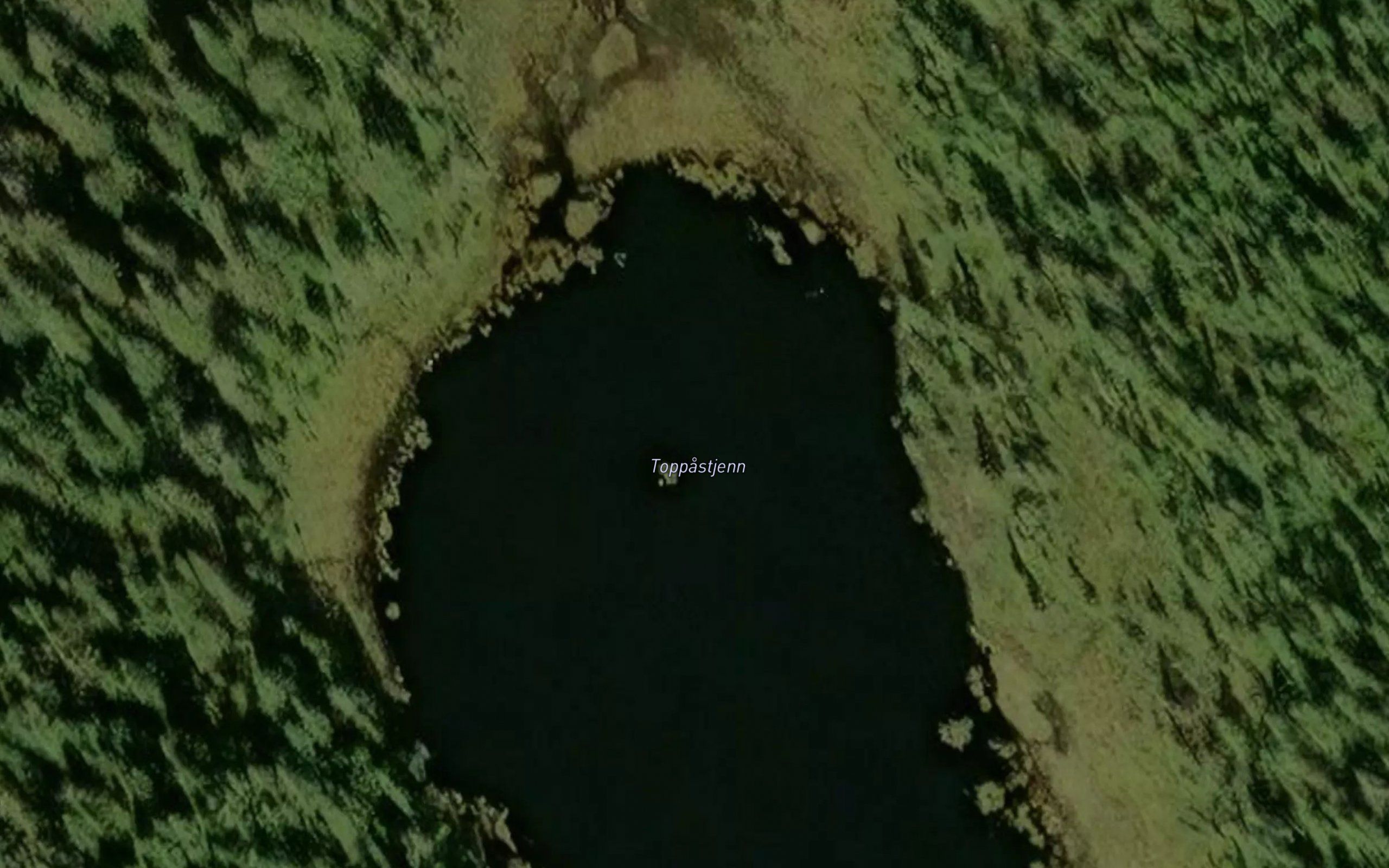 Toppastjernet