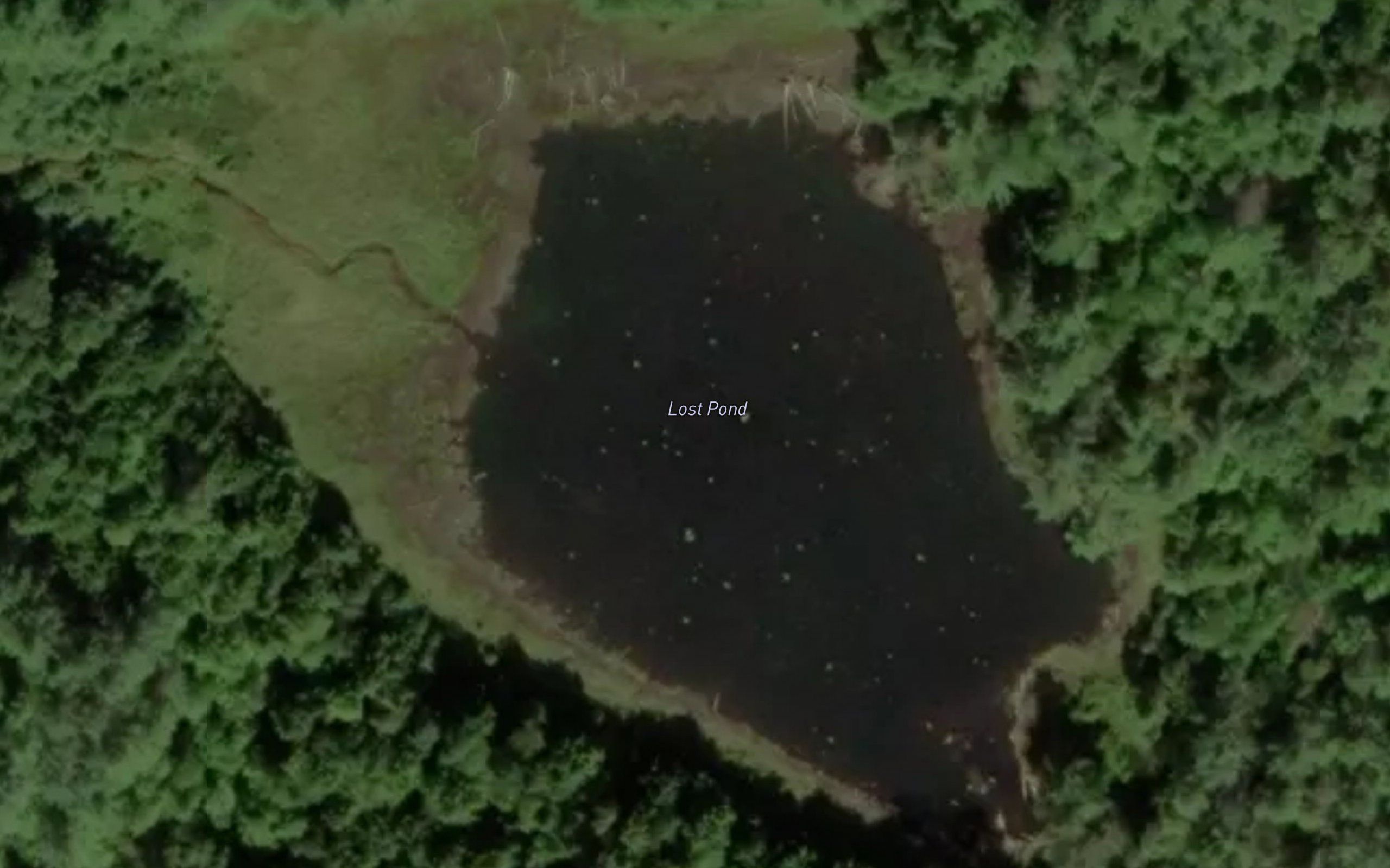 Lost Pond