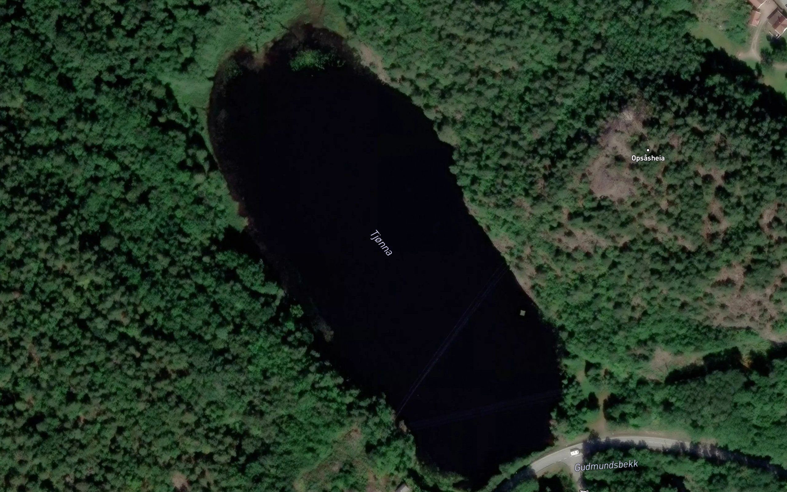 Skraptjorn
