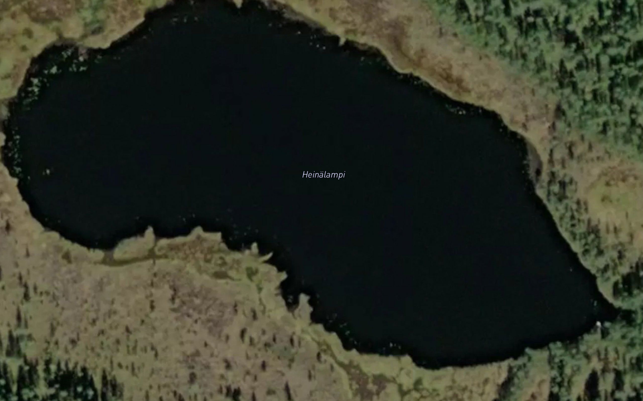 Heinalampi