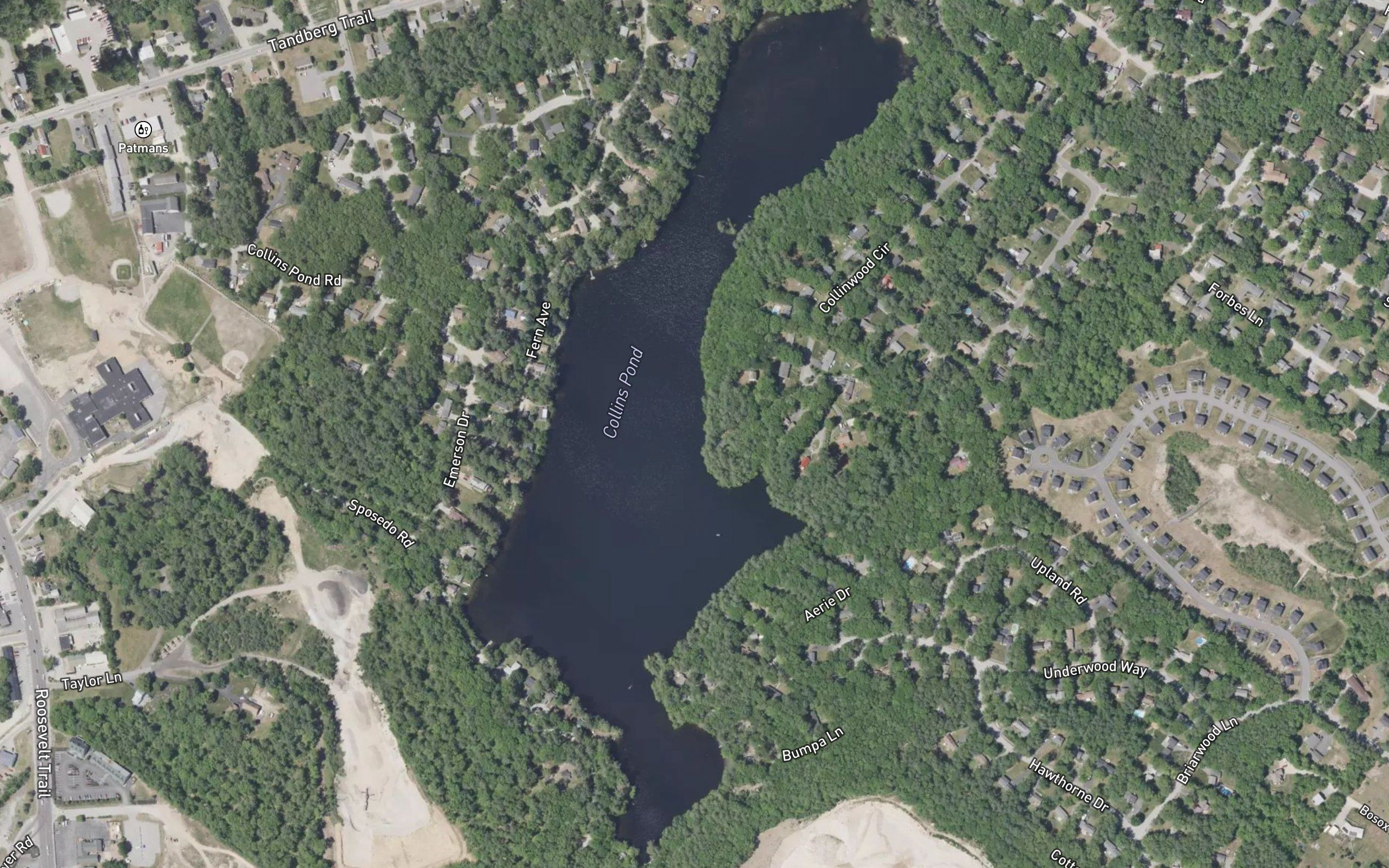 Collins Pond