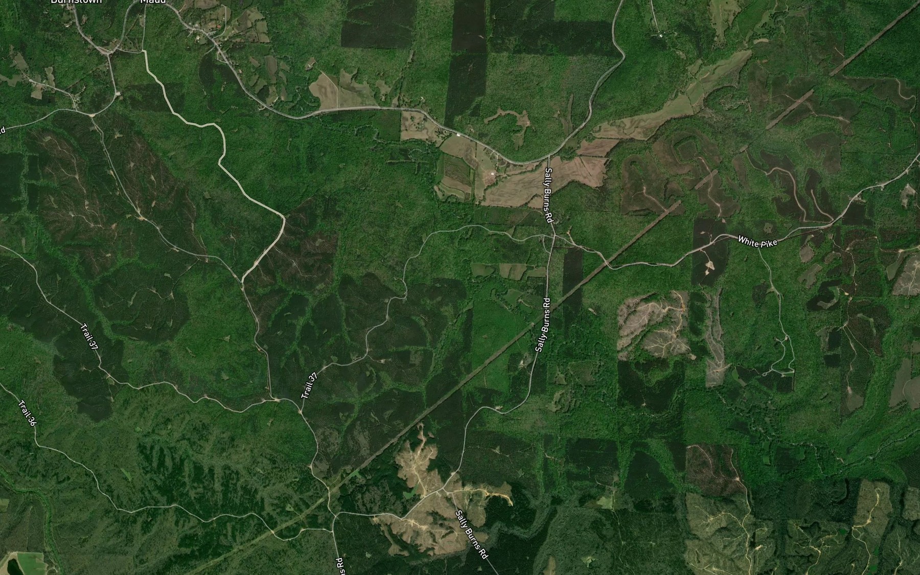 Satellite map of the Bishop Branch