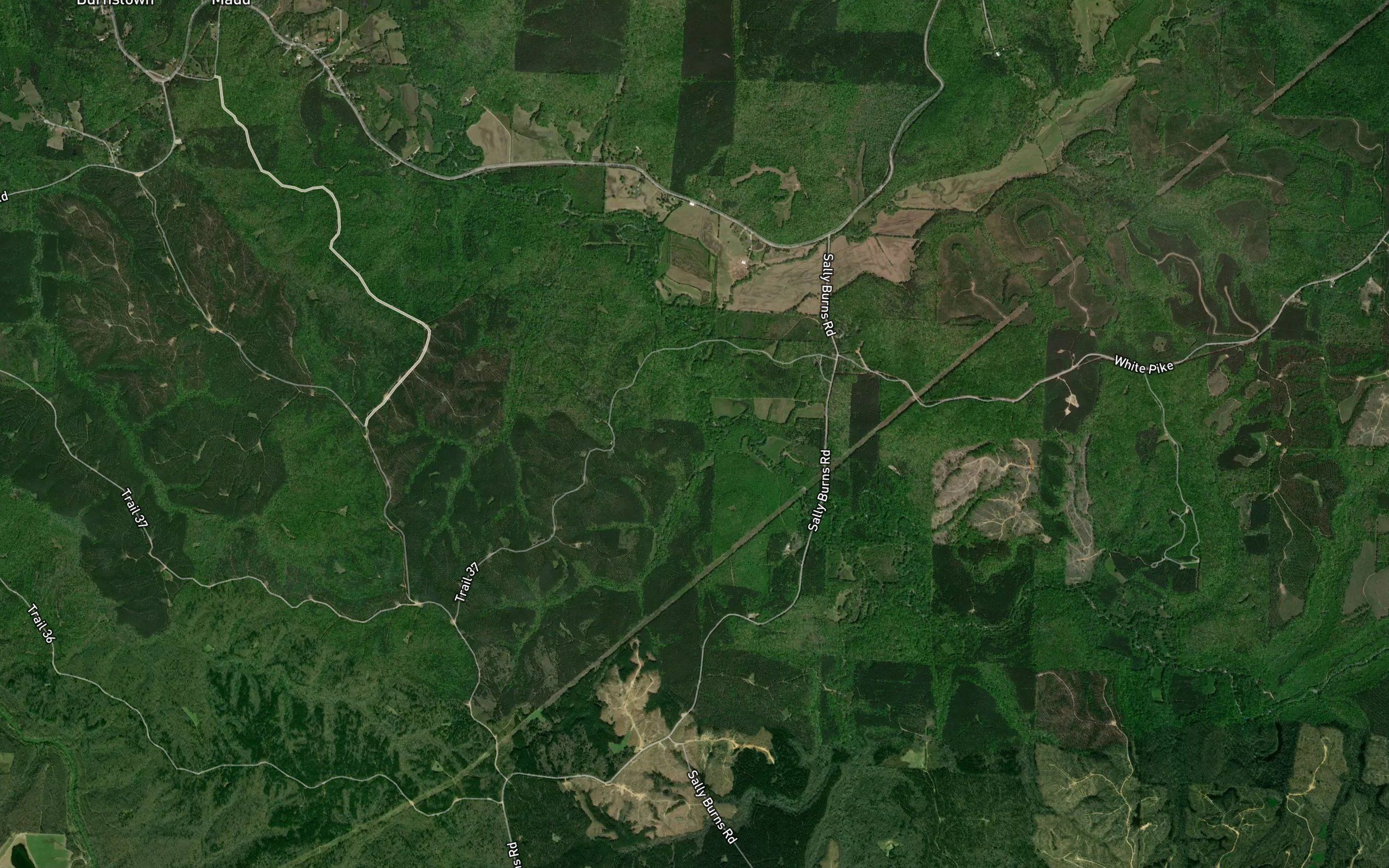 Bishop Branch