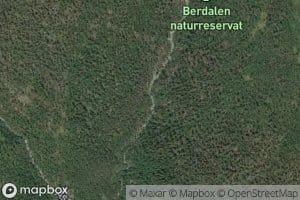 Berdola