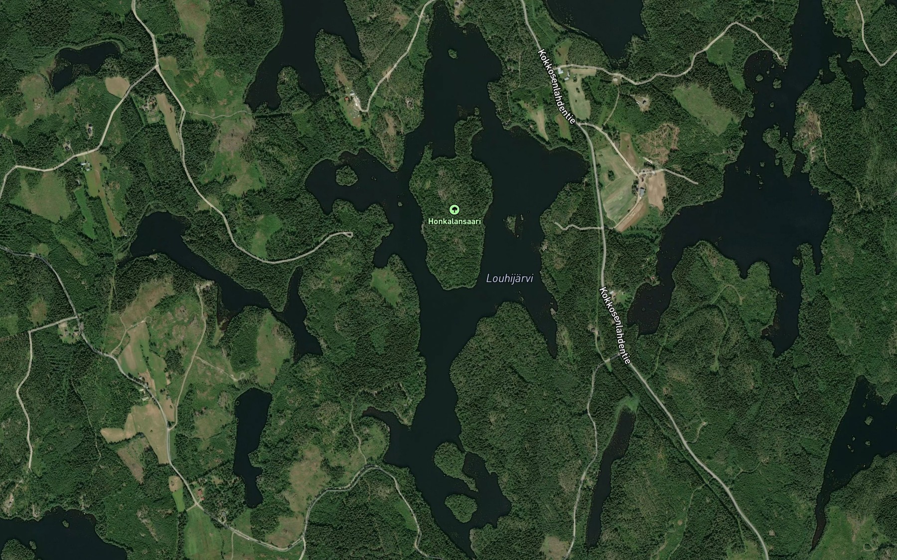 Satellite map of the Louhijarvi