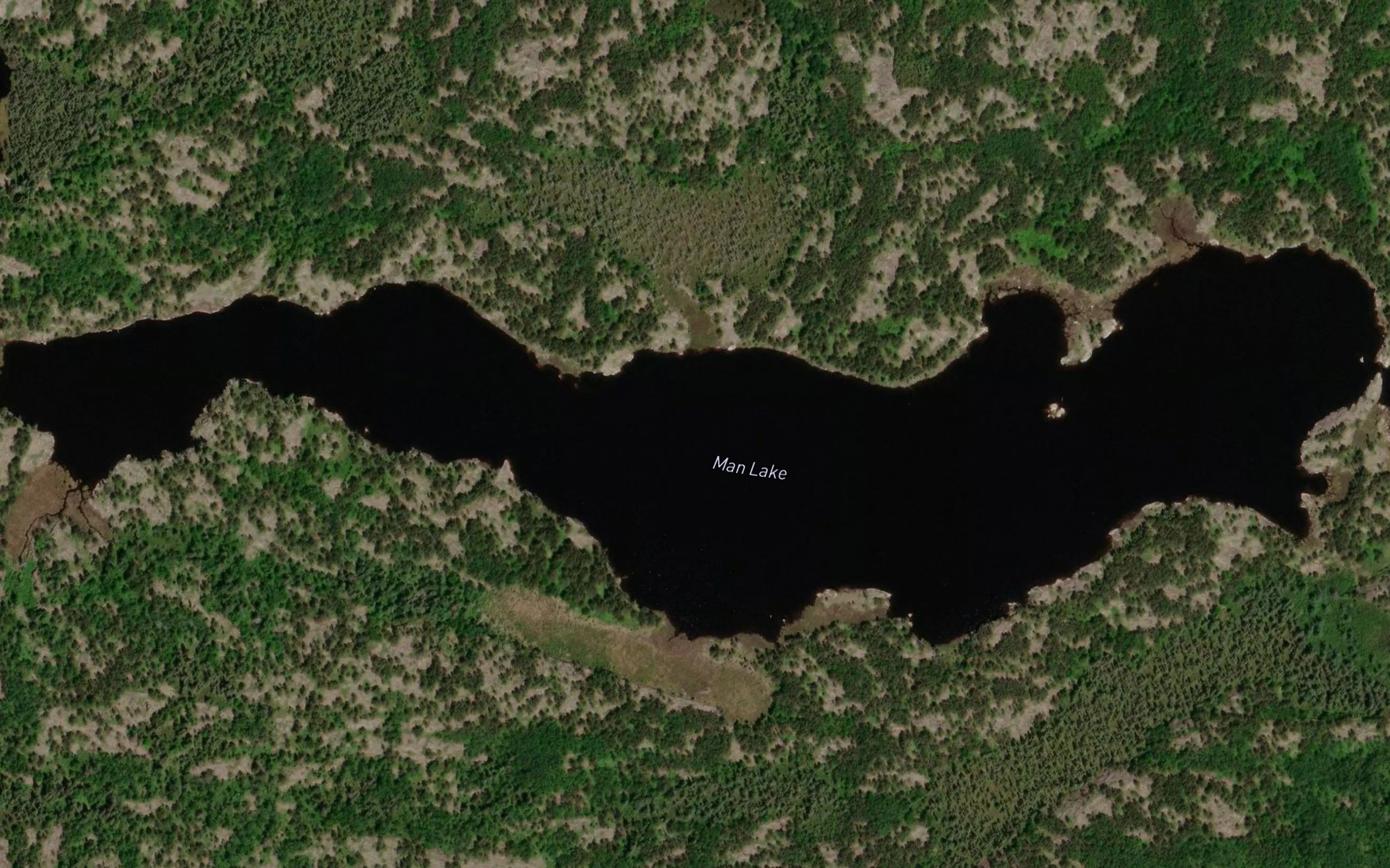 Satellite map of the Man Lake