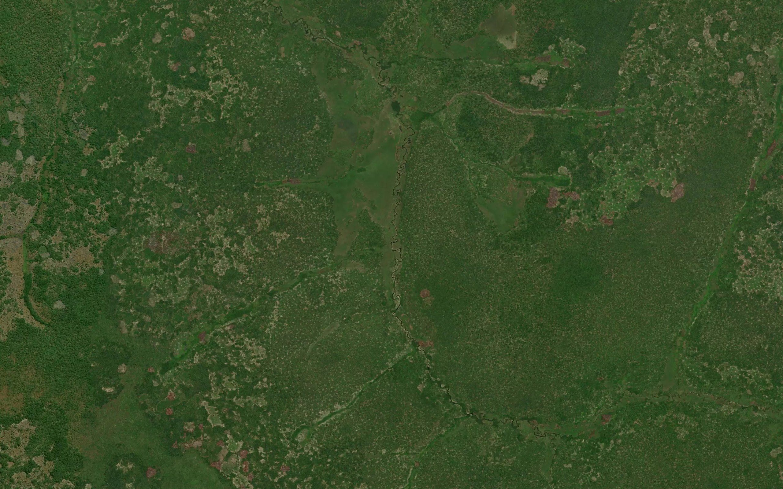 Kambangu