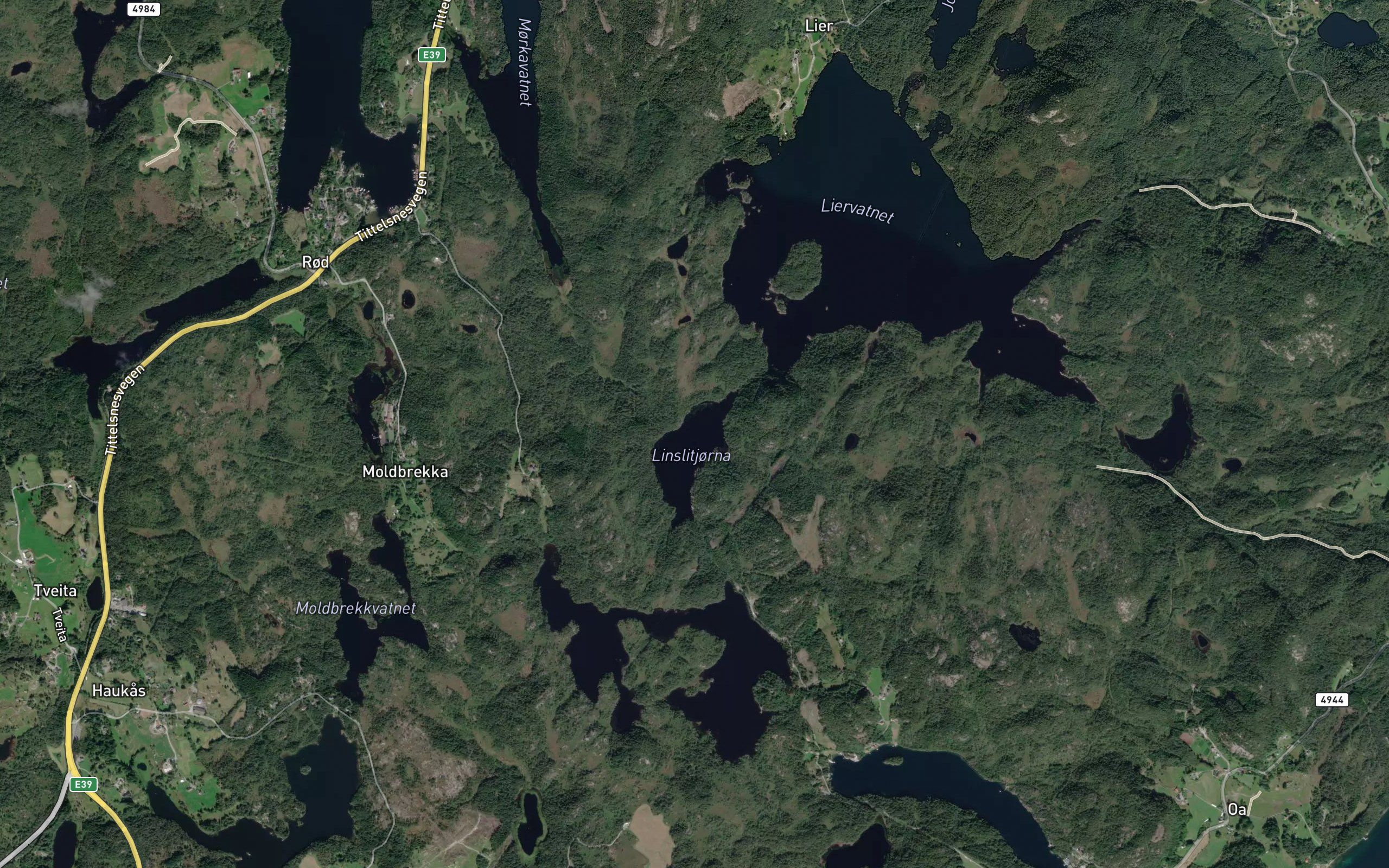 Linslitjorna