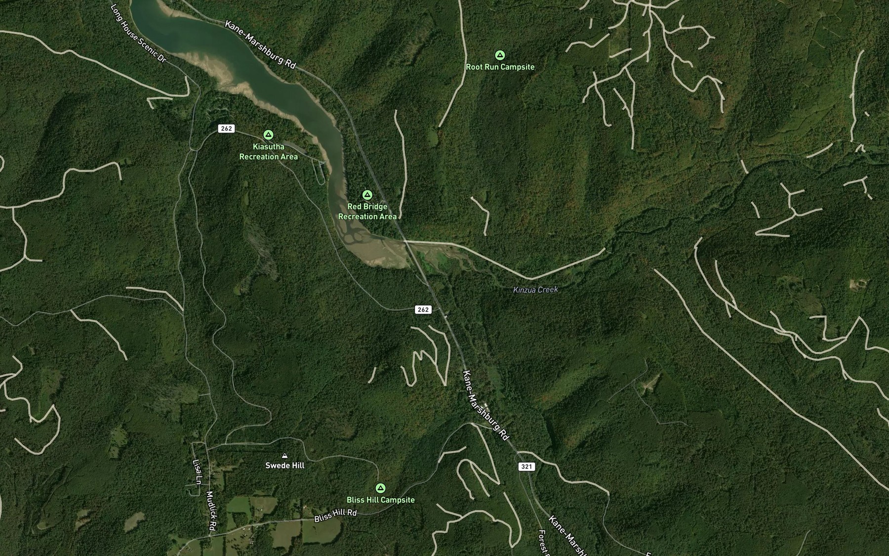 Satellite map of the South Branch Kinzua Creek