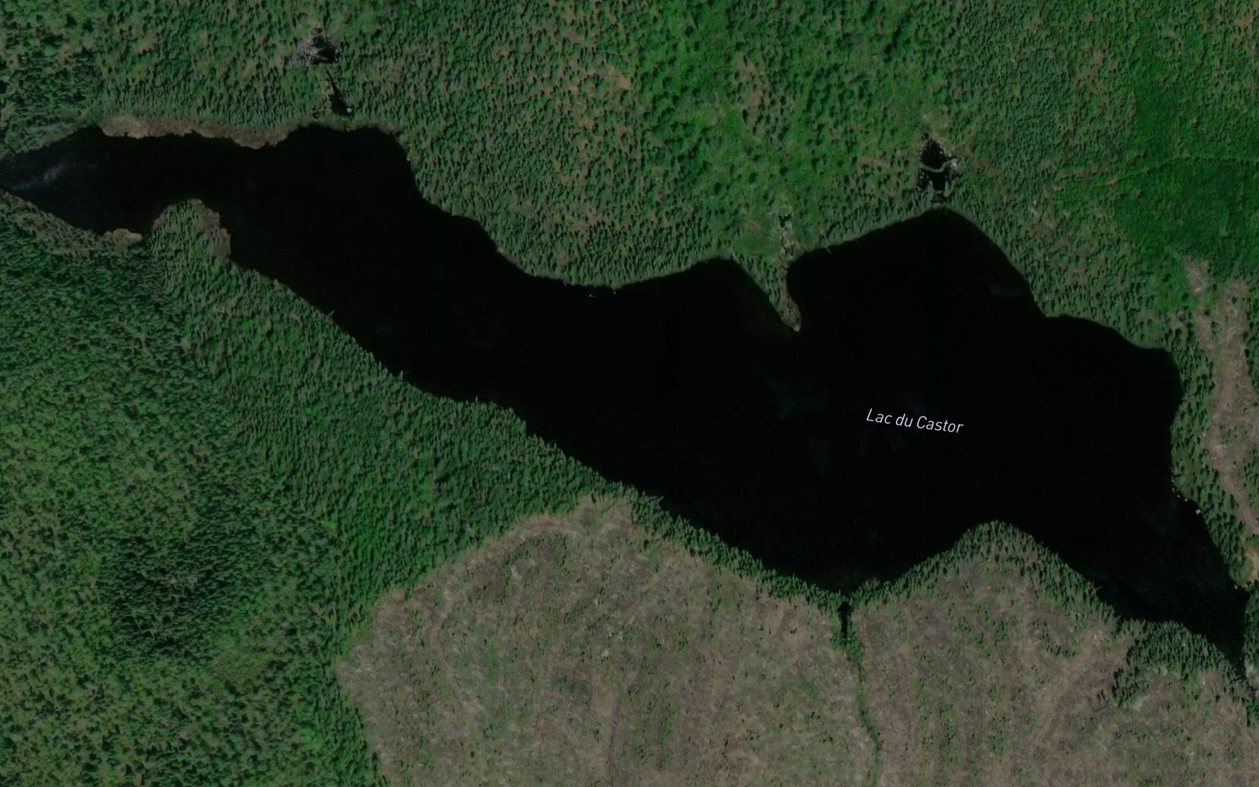 Satellite map of the Lac du Castor