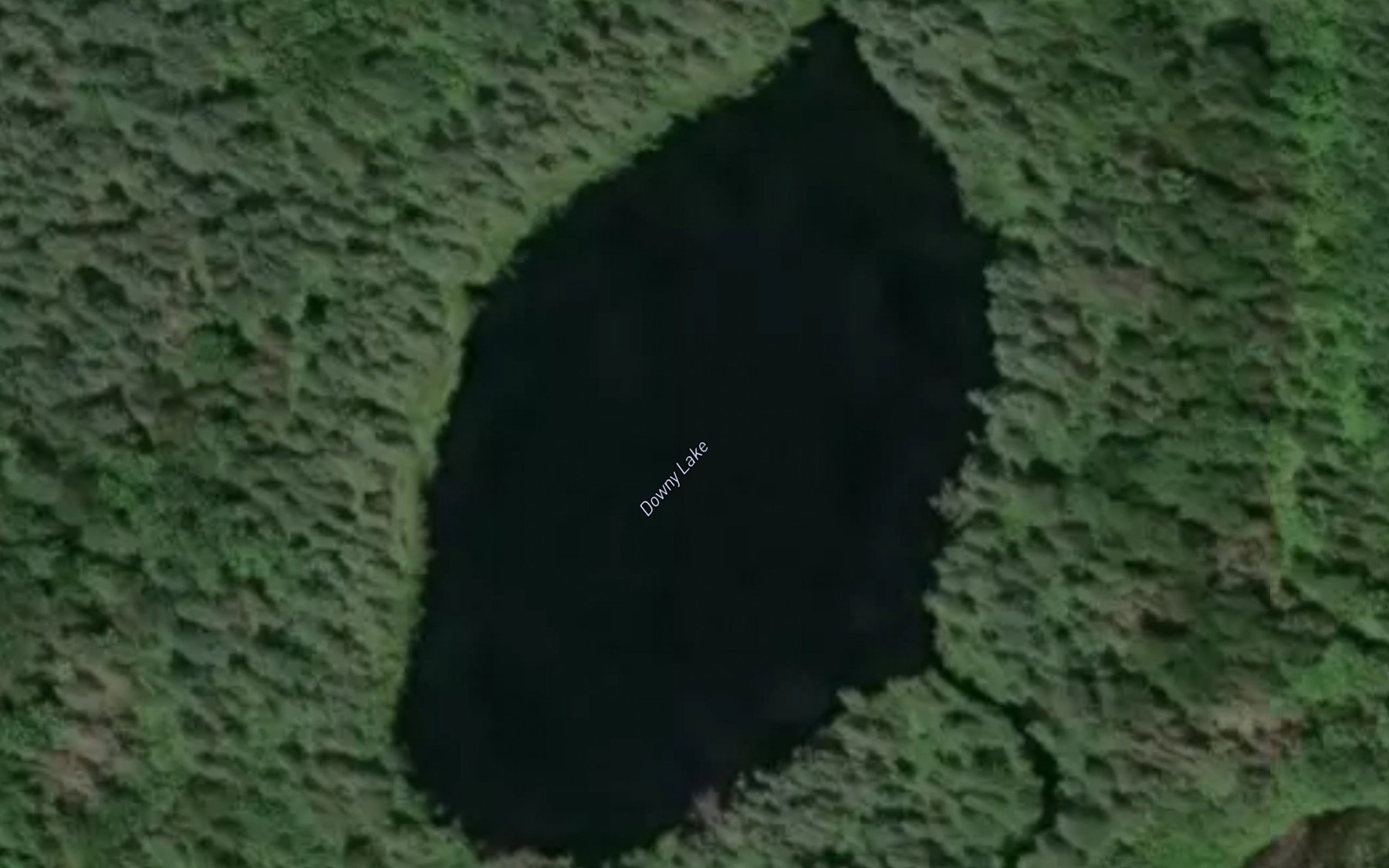 Satellite map of the Downy Lake