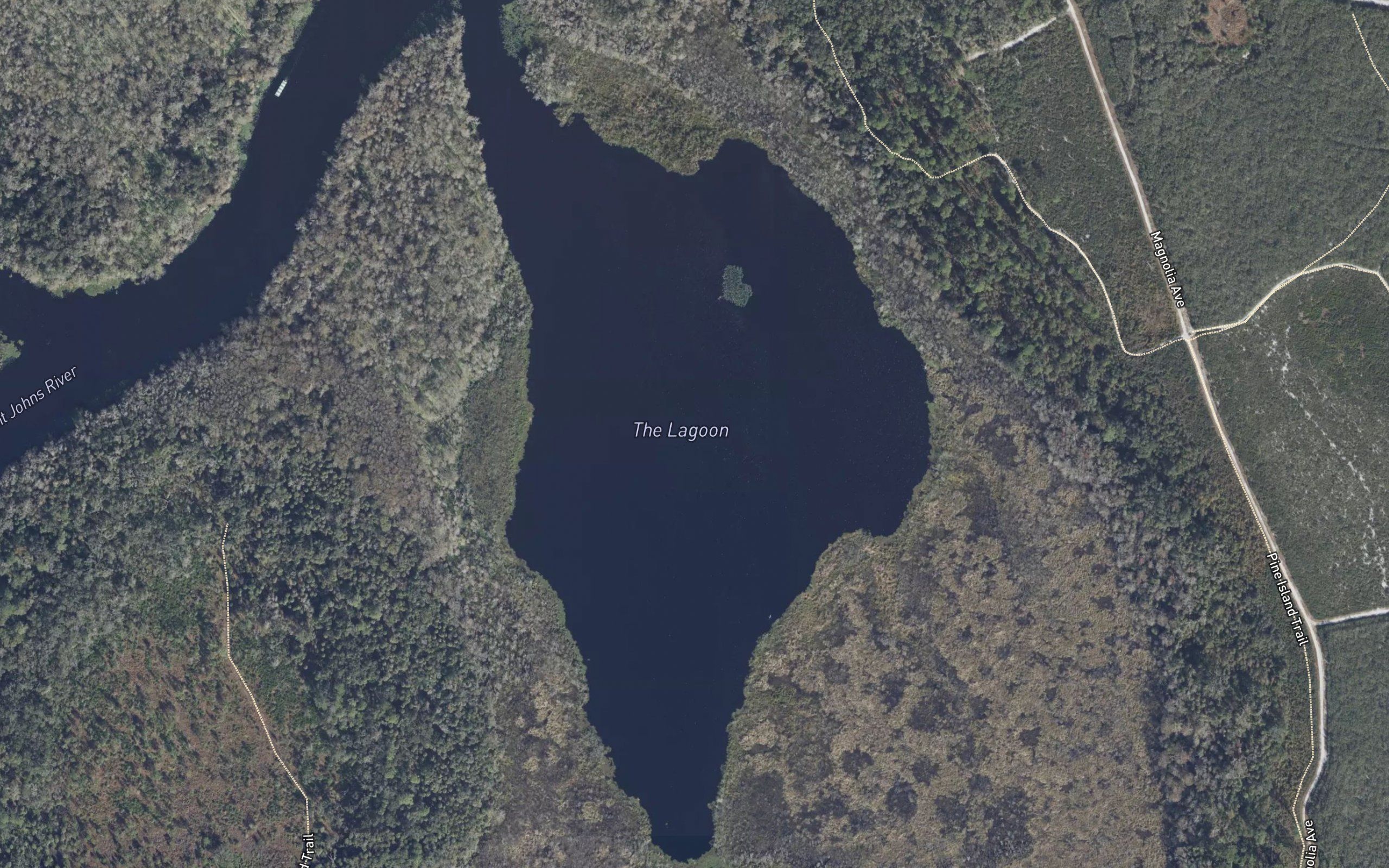 The Lagoon