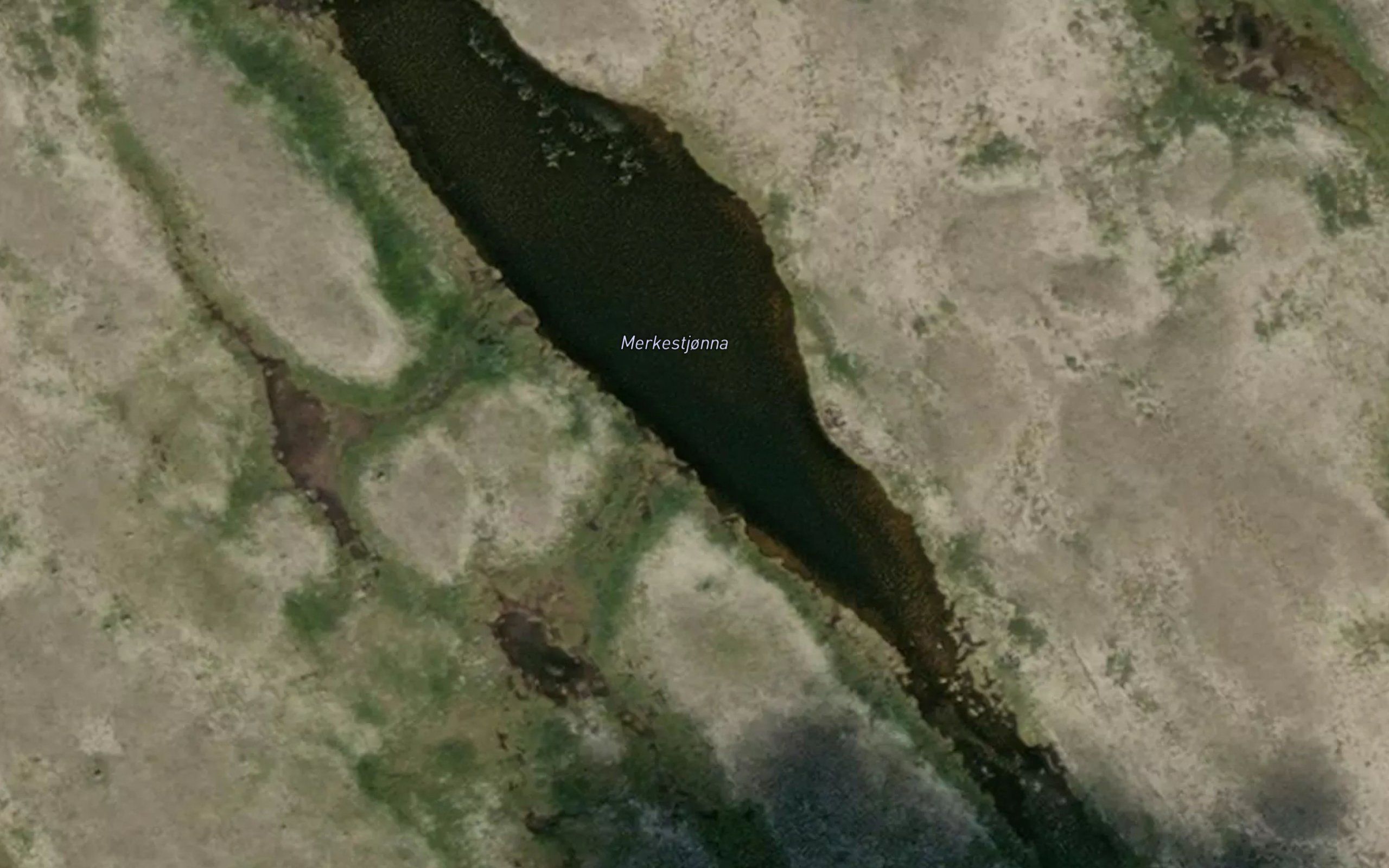 Merkestjorna