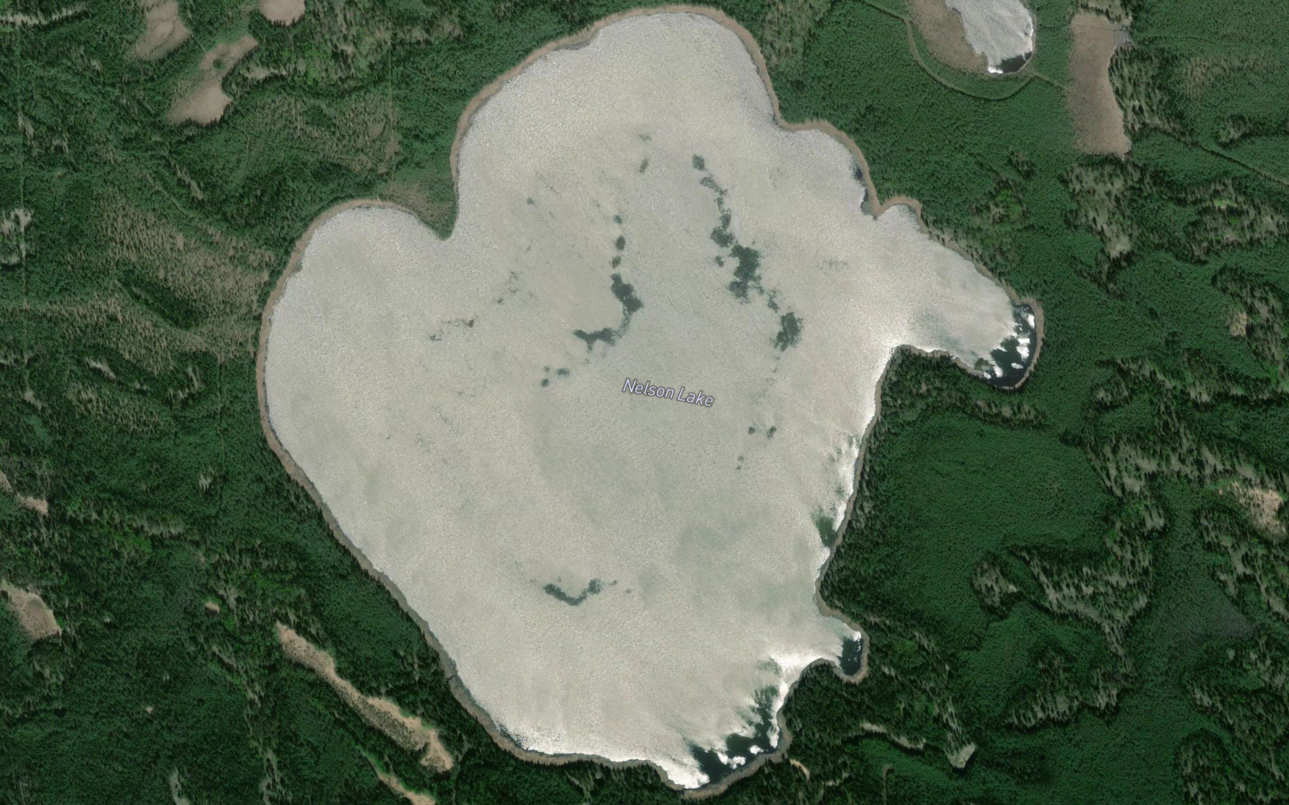 Nelson Lake