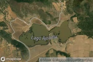 Laguna Ajolotla