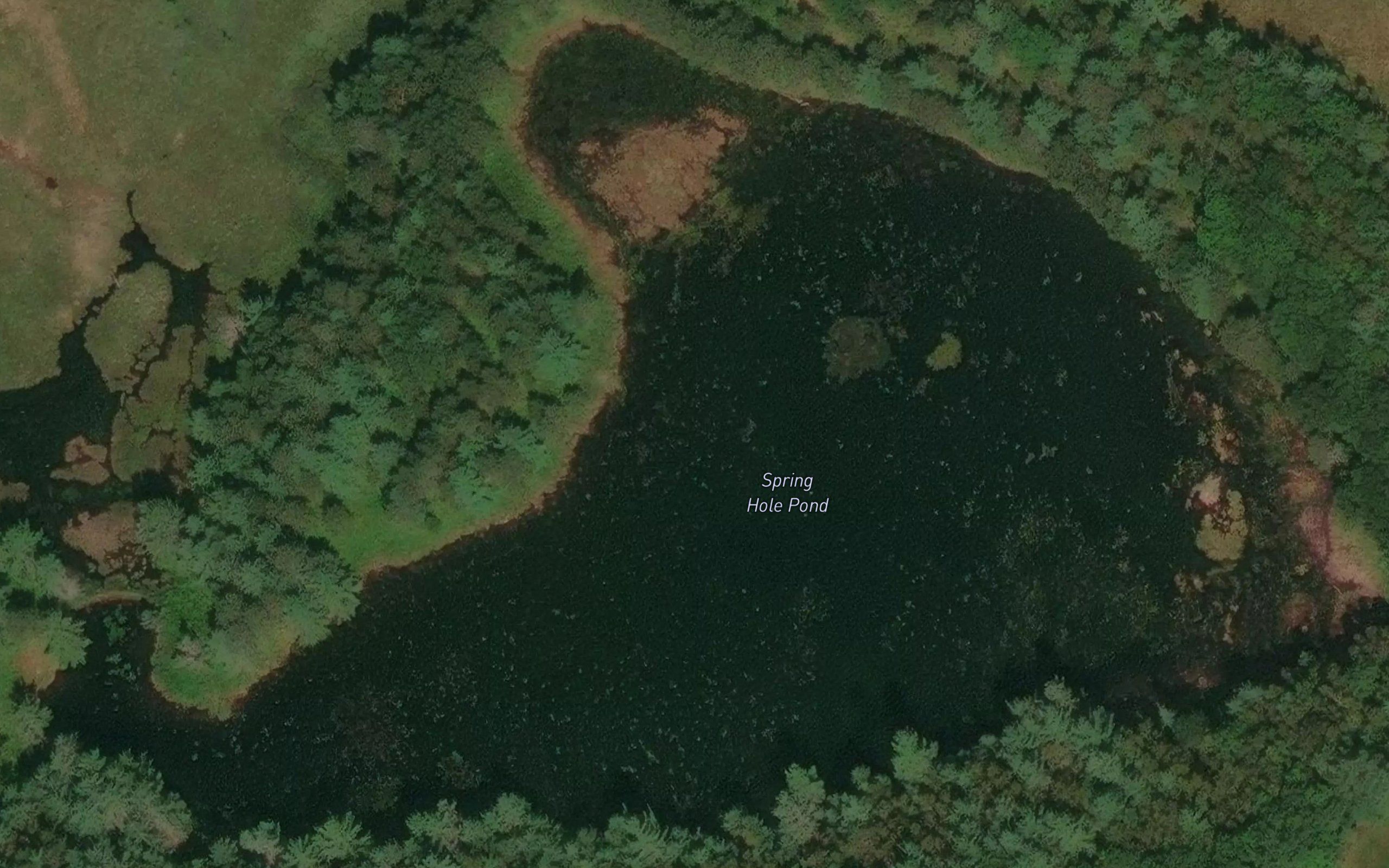 Spring Hole Pond
