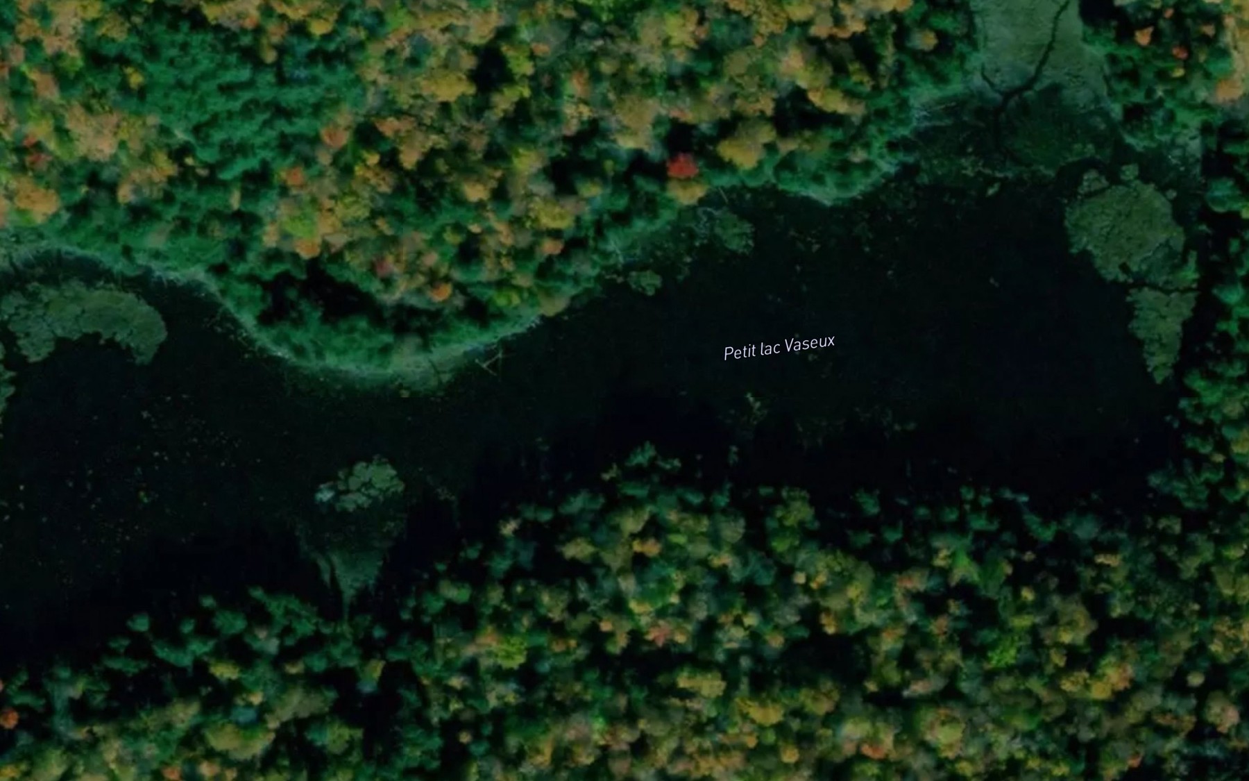 Satellite map of the Petit lac Vaseux