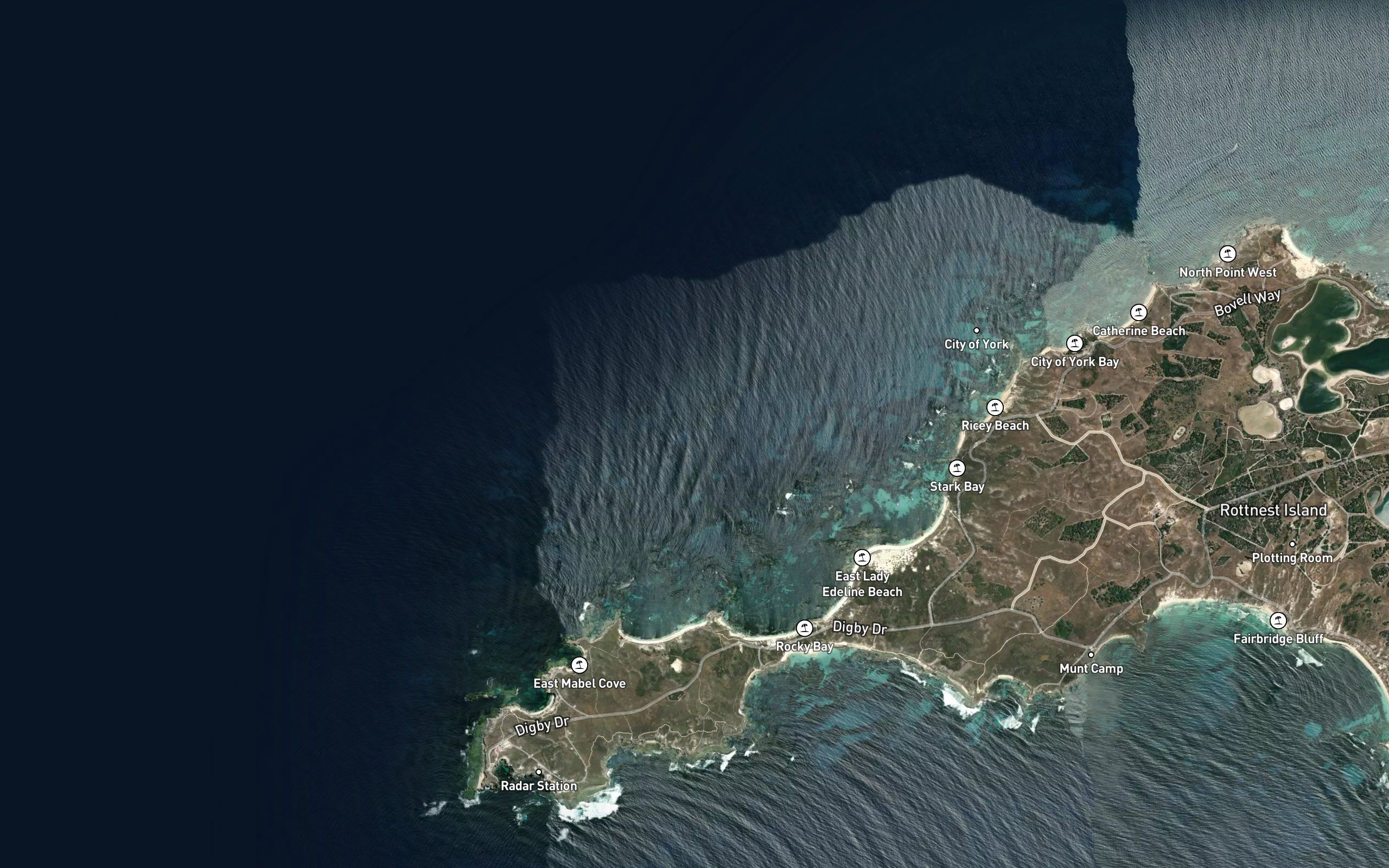 Swirl Reef