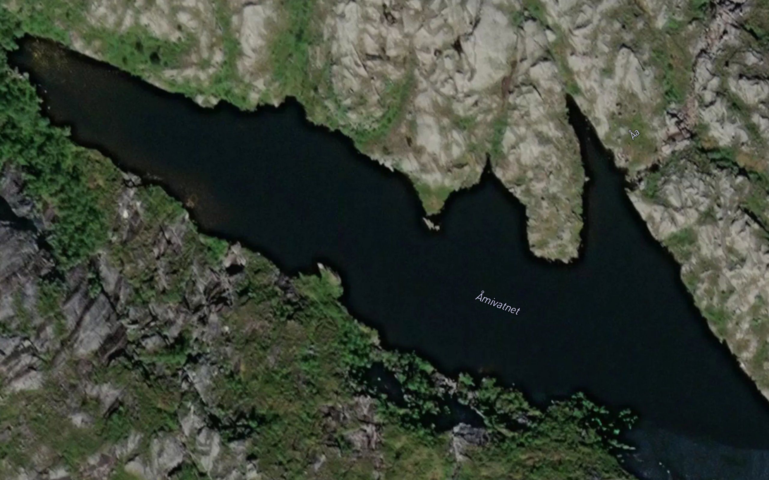 Amivatnet