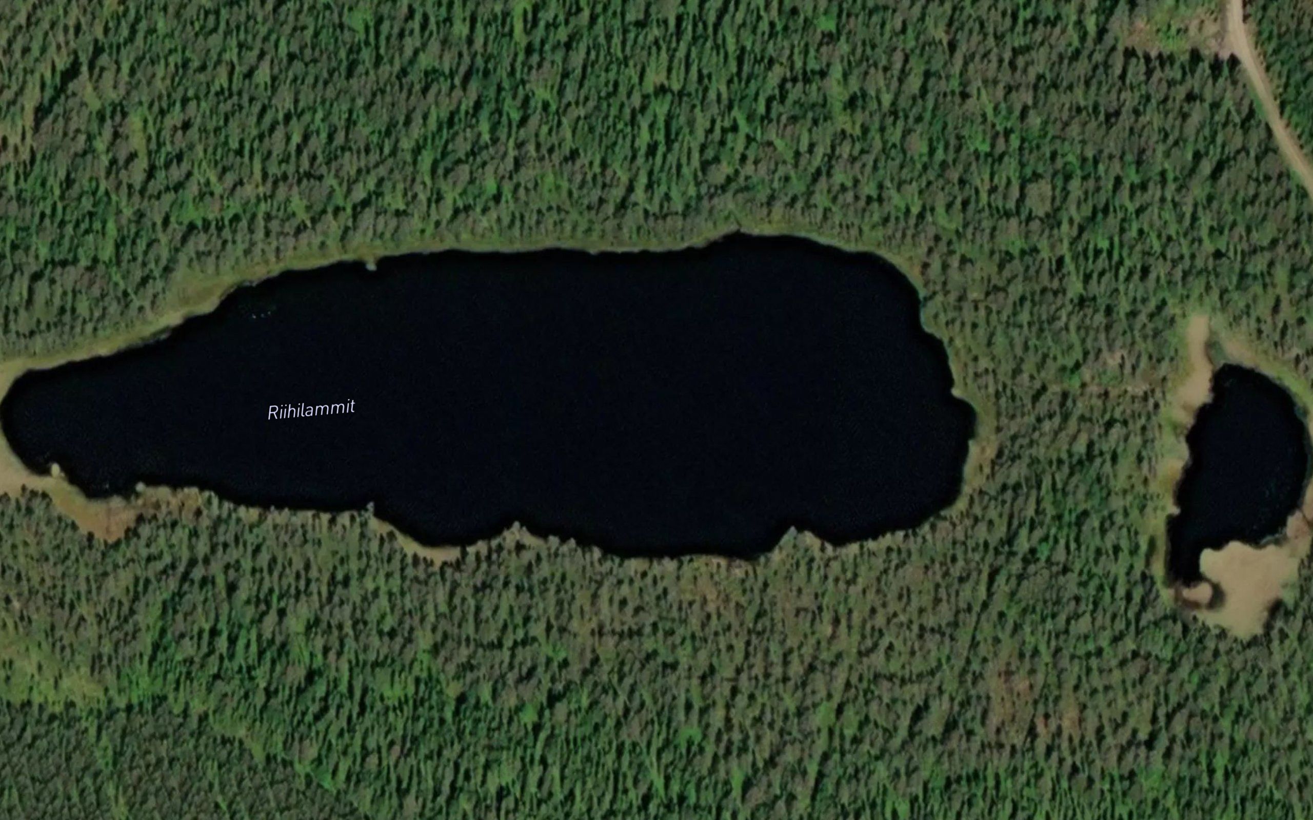 Riihilammit