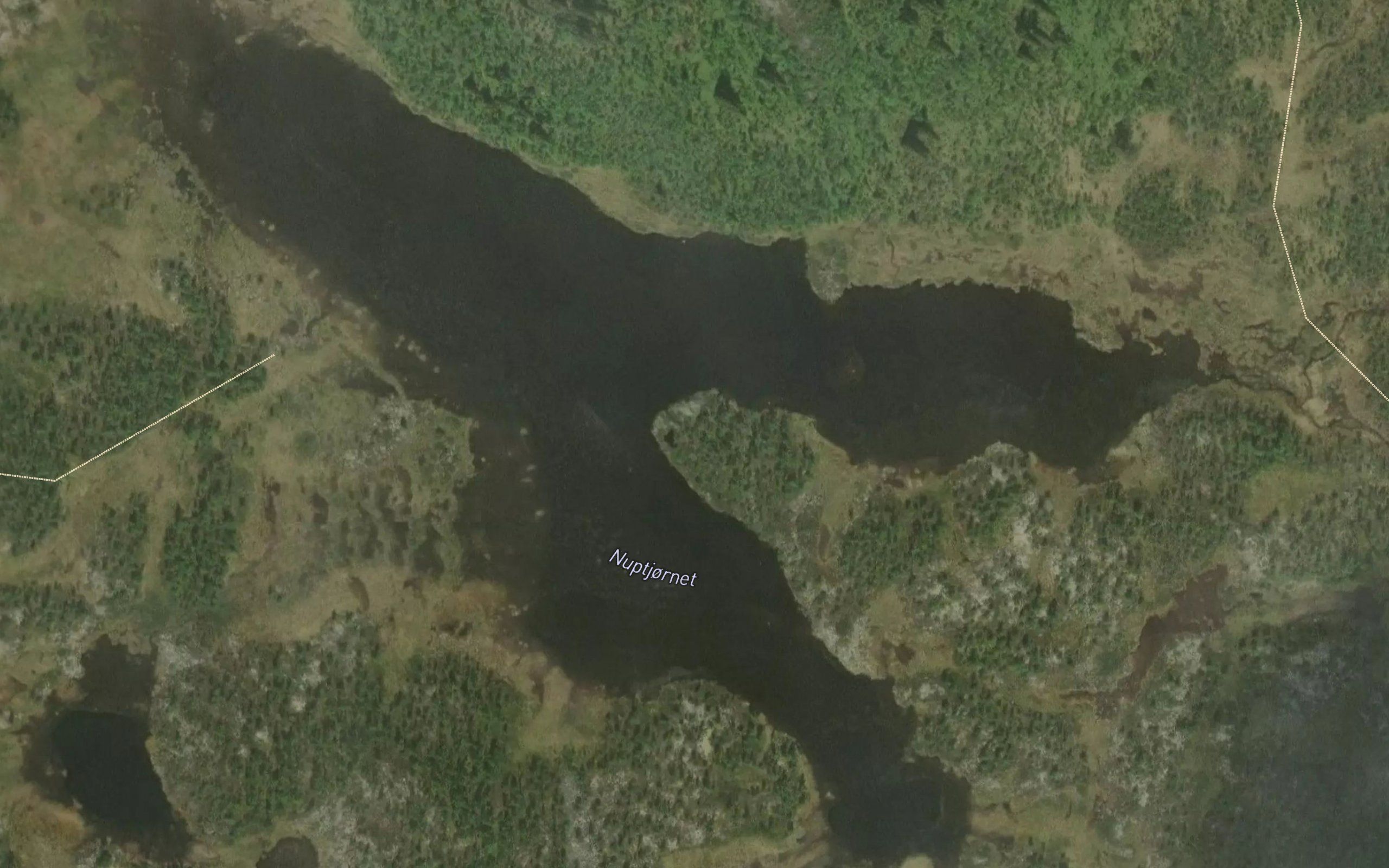 Nuptjernet