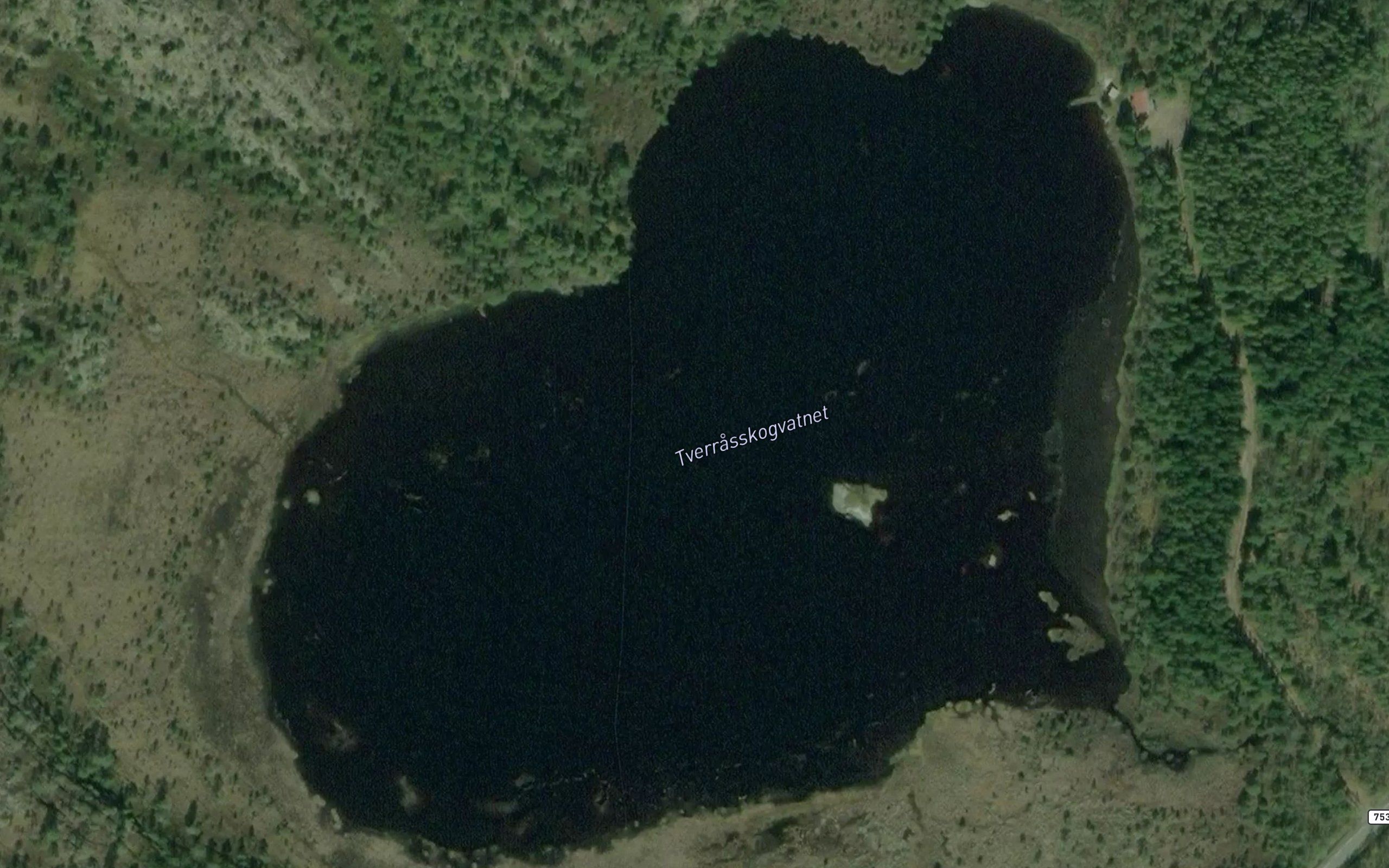 Tverrutskogvatnet