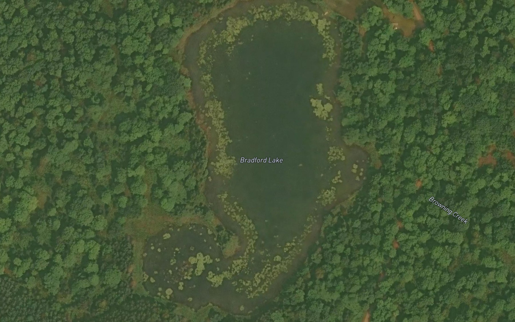 Satellite map of the Bradford Lake