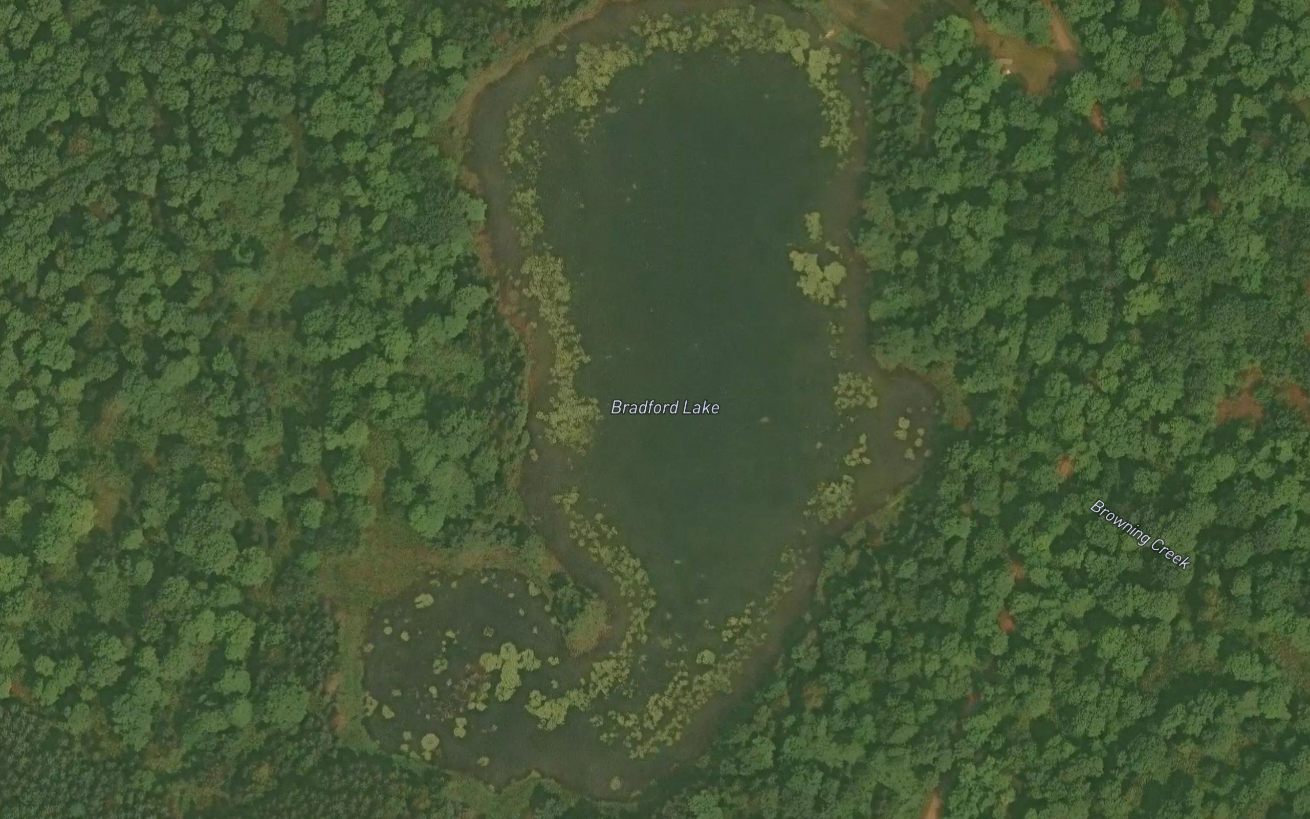 Bradford Lake