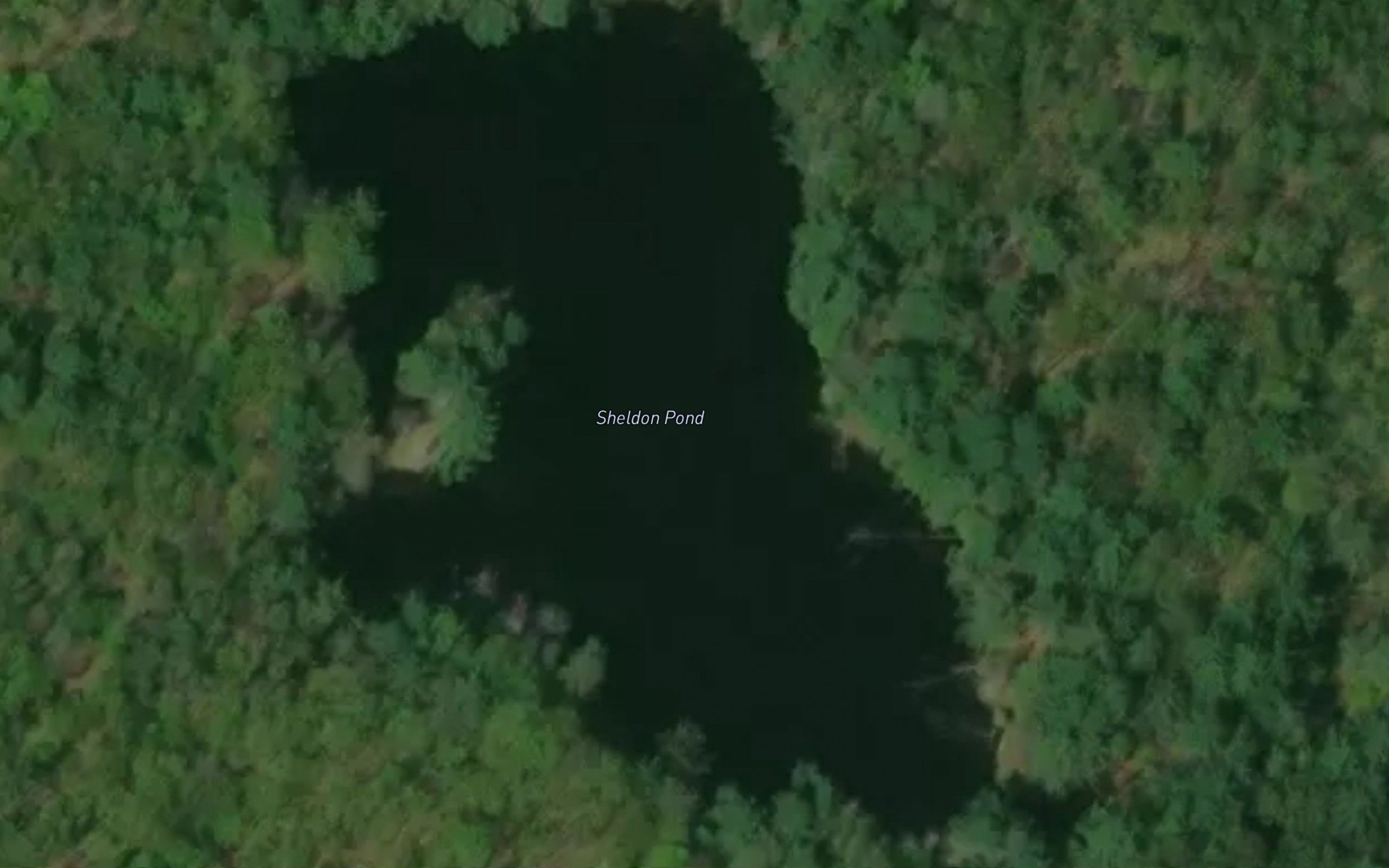 Sheldon Pond