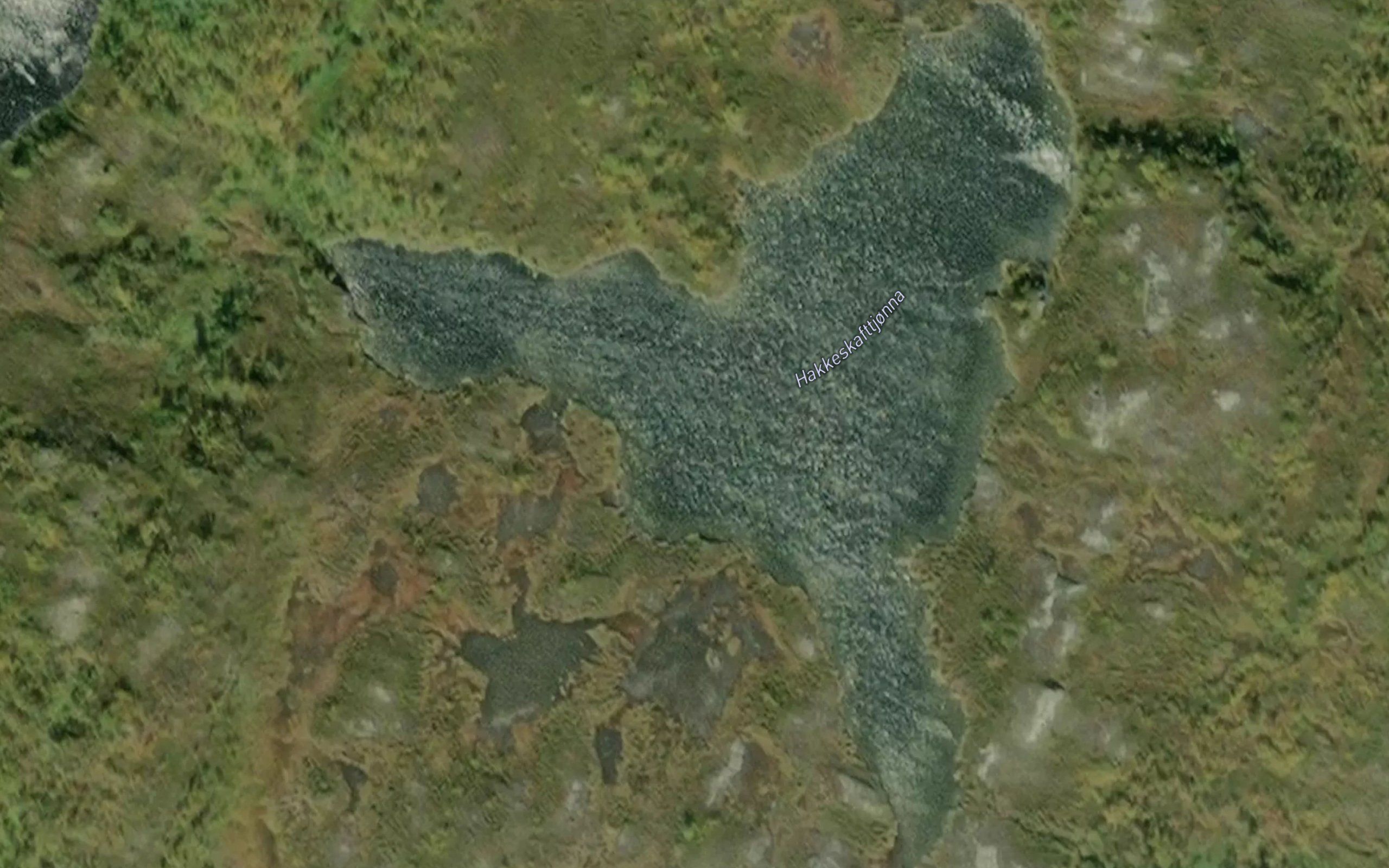 Hakkeskafttjorna