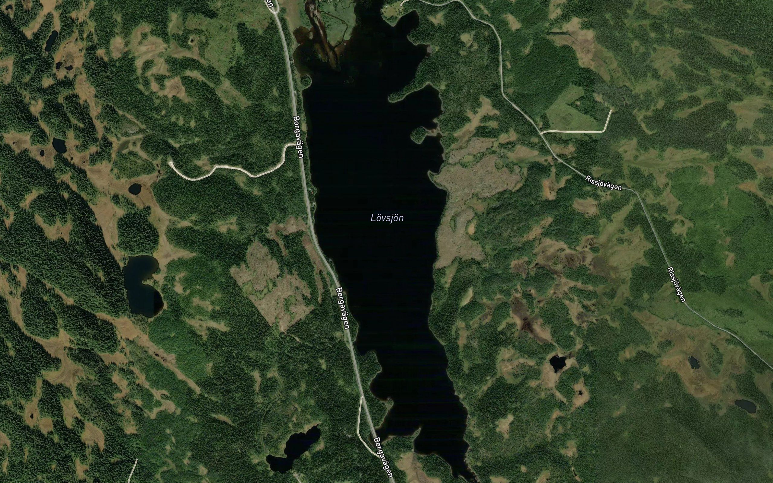Vallienbacken