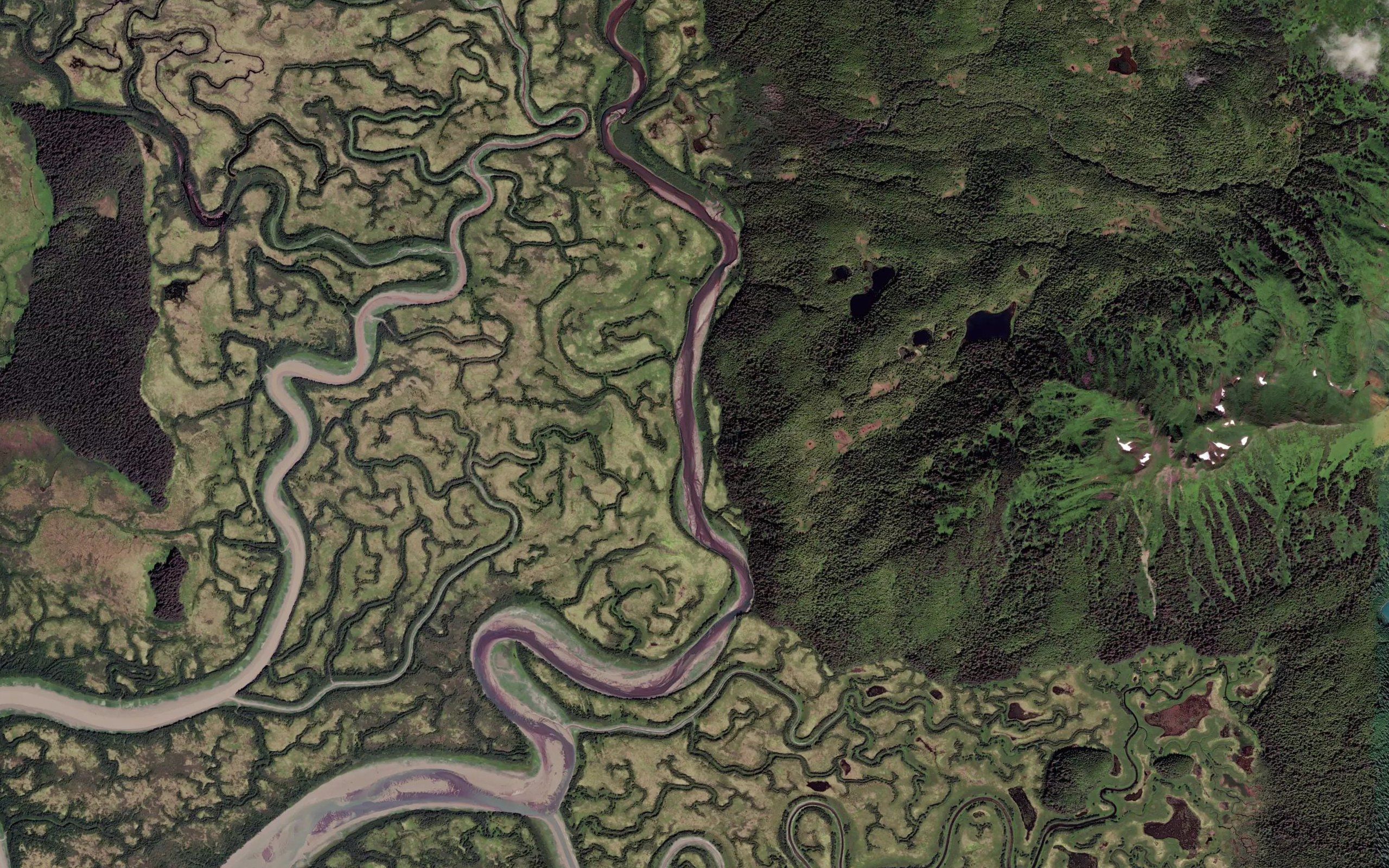Martin River Slough
