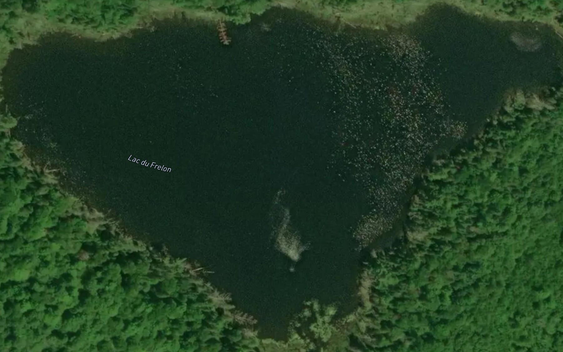 Satellite map of the Lac du Frelon